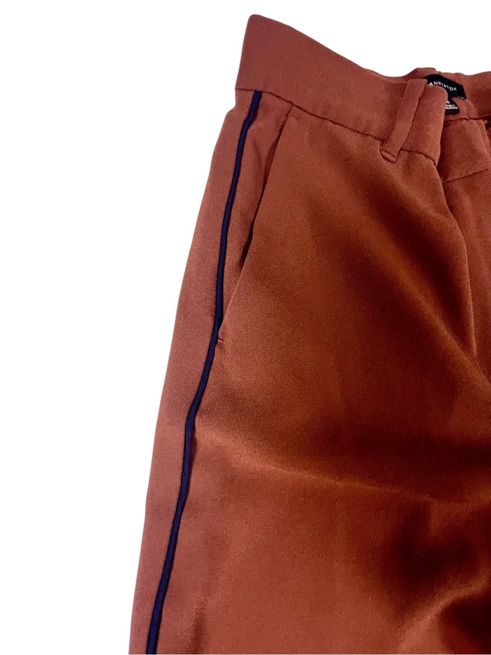 Ann Taylor Wide-Leg High-Rise Pants in Brown rust color with black trim sku 148 - Picture 4 of 12